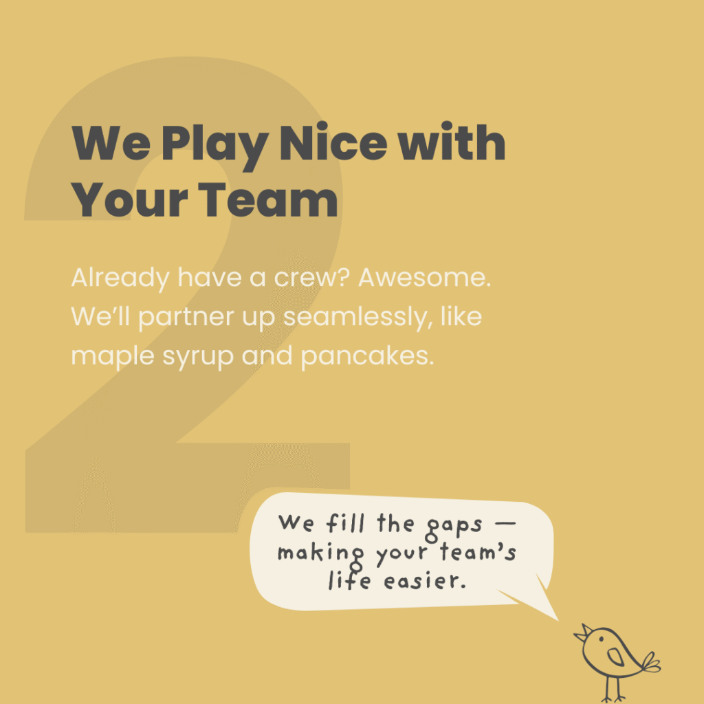 Graphic titled 'We Play Nice with Your Team,' stating 'We'll partner up seamlessly, like maple syrup and pancakes.' A speech bubble says 'We fill the gaps making your team's life easier